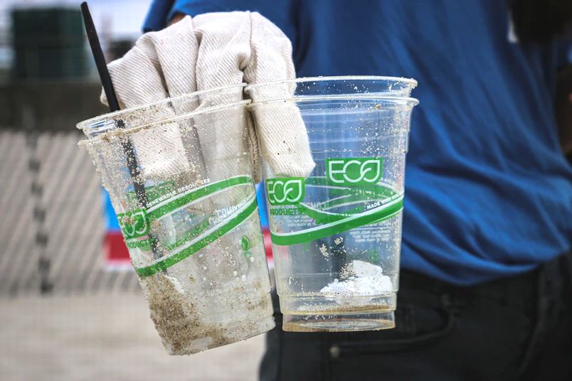 地球の為の本当のエコとは何か – プラスチック資源循環促進法